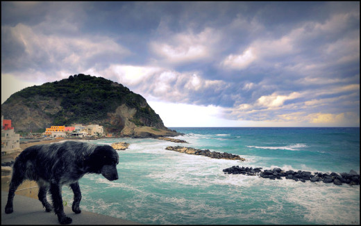 488444 (a): :1920x1200